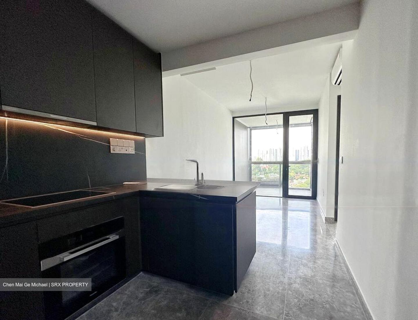 Hyll On Holland (D10), Condominium #615622911
